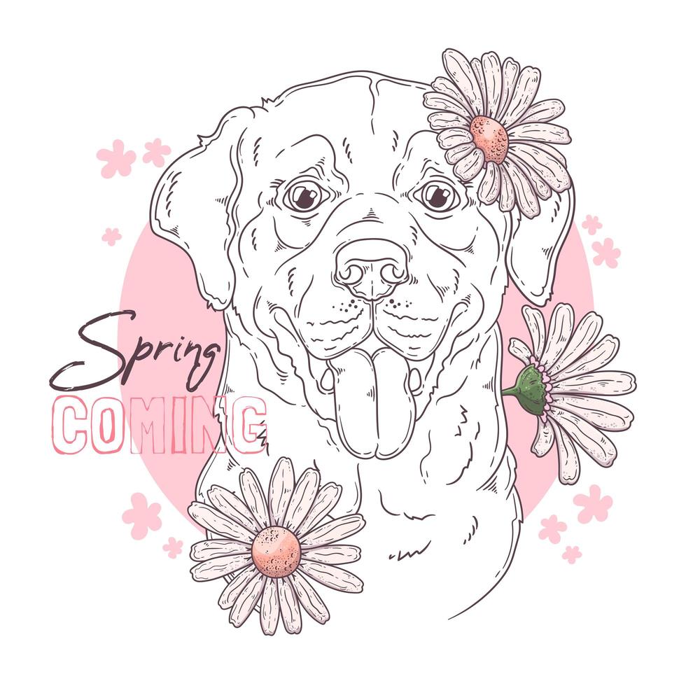 Dibujado a mano perro labrador retriever con vector de flores. objetos aislados para su diseño. cada objeto se puede cambiar y mover.