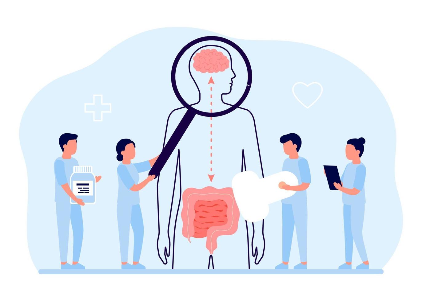 conexión de la salud del cerebro humano y del intestino. órganos de relación de chequeo médico, segundo cerebro intestinal. regulación de la unidad, interacción del sistema mental y digestivo de la persona, equilibrio emocional. vector