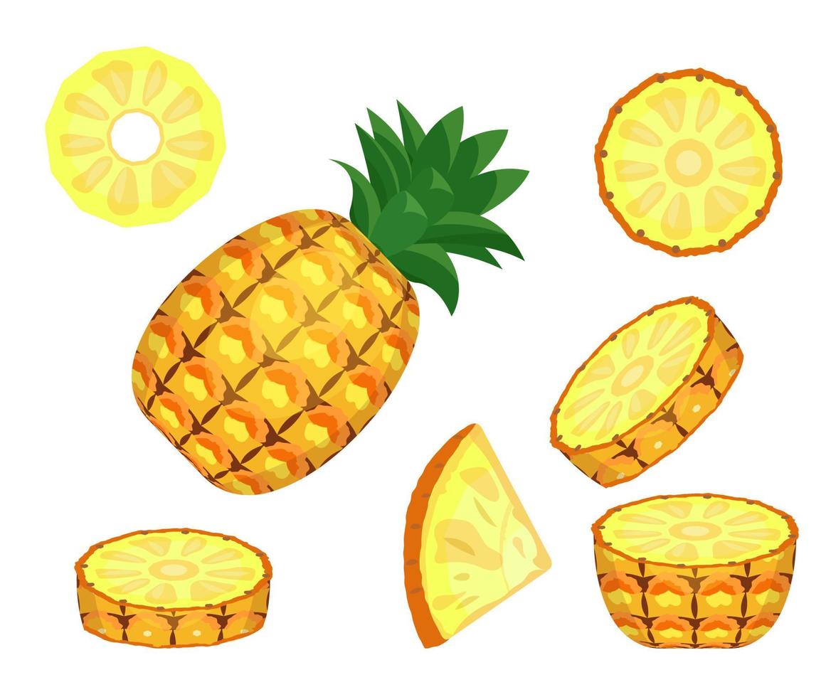 Vector illustration of sliced pineapple on  white background