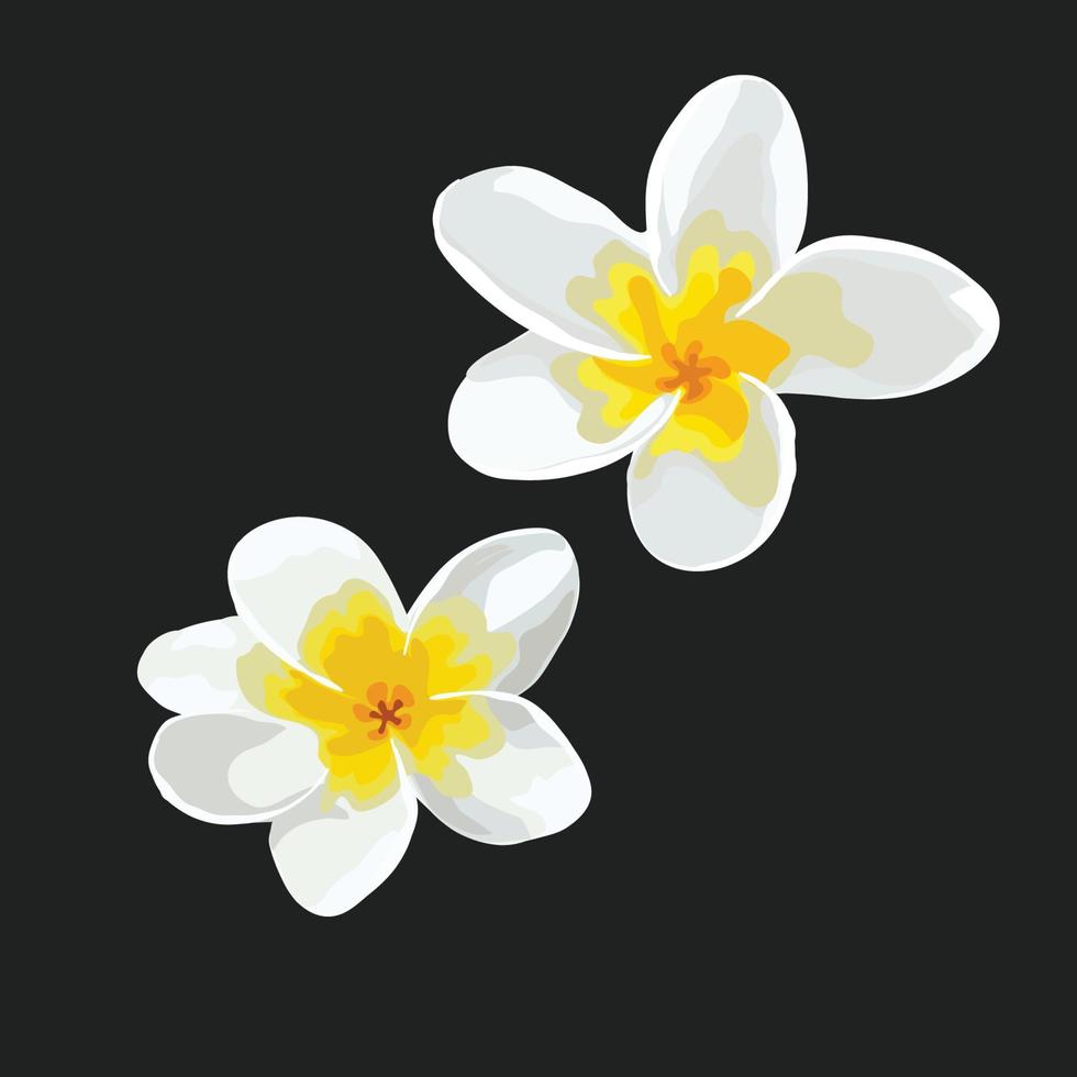 Floral poster, invite. Vector arrangements for greeting card or invitation design