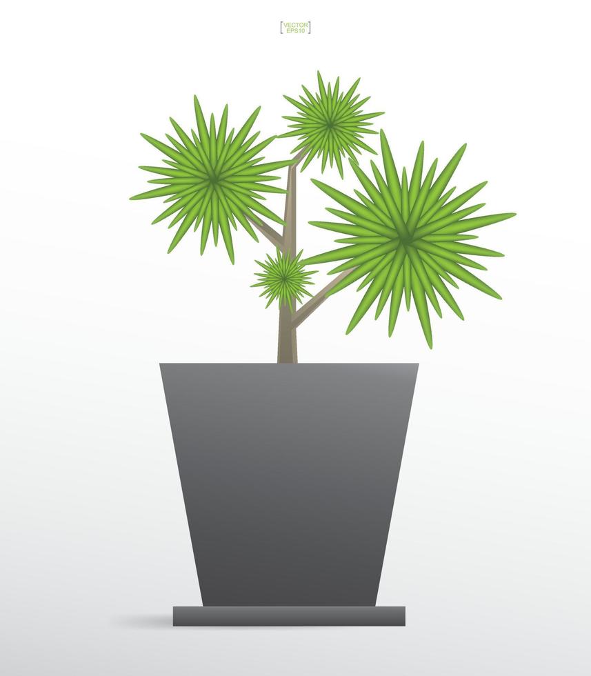 plantas de decoración en maceta. árbol pequeño. idea de objeto natural para diseño de interiores y decoración. vector. vector