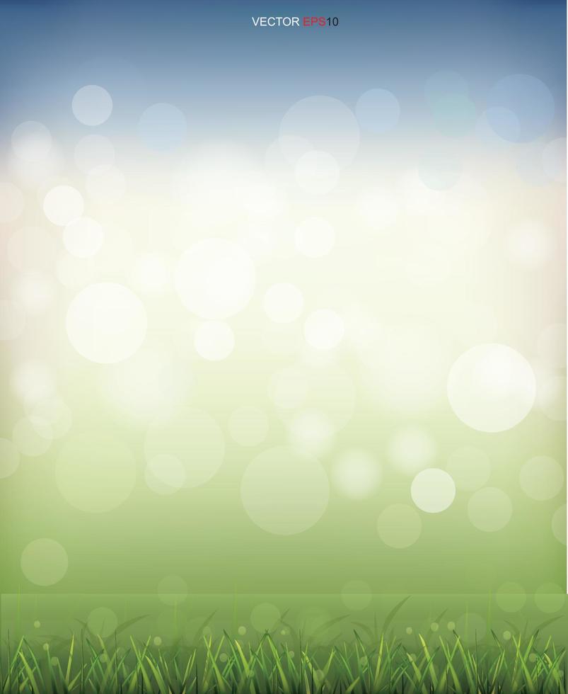 campo de hierba verde con luz de fondo bokeh borrosa. vector. vector