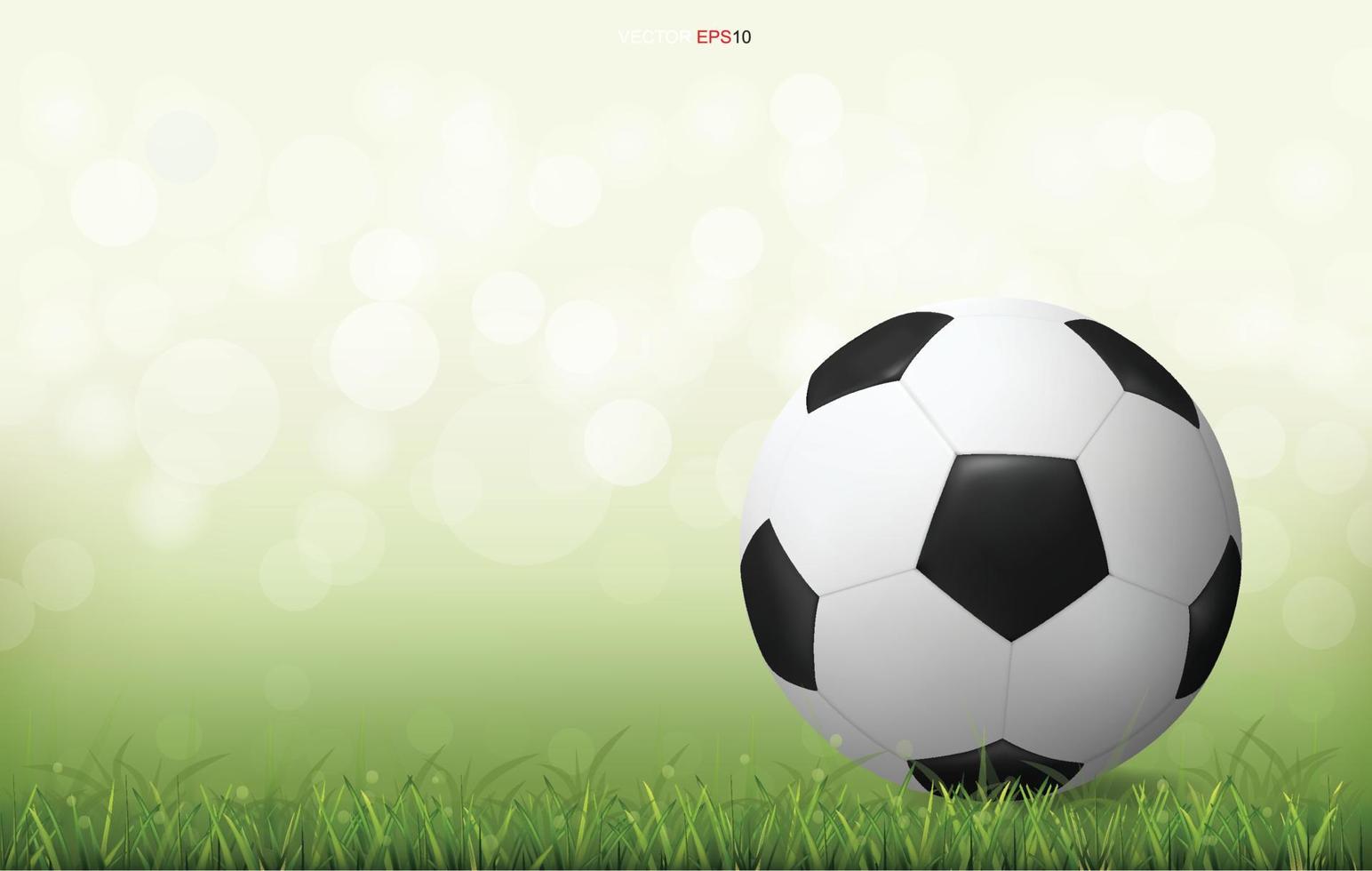 Soccer football ball on green grass field with light blurred bokeh background. Vector. vector