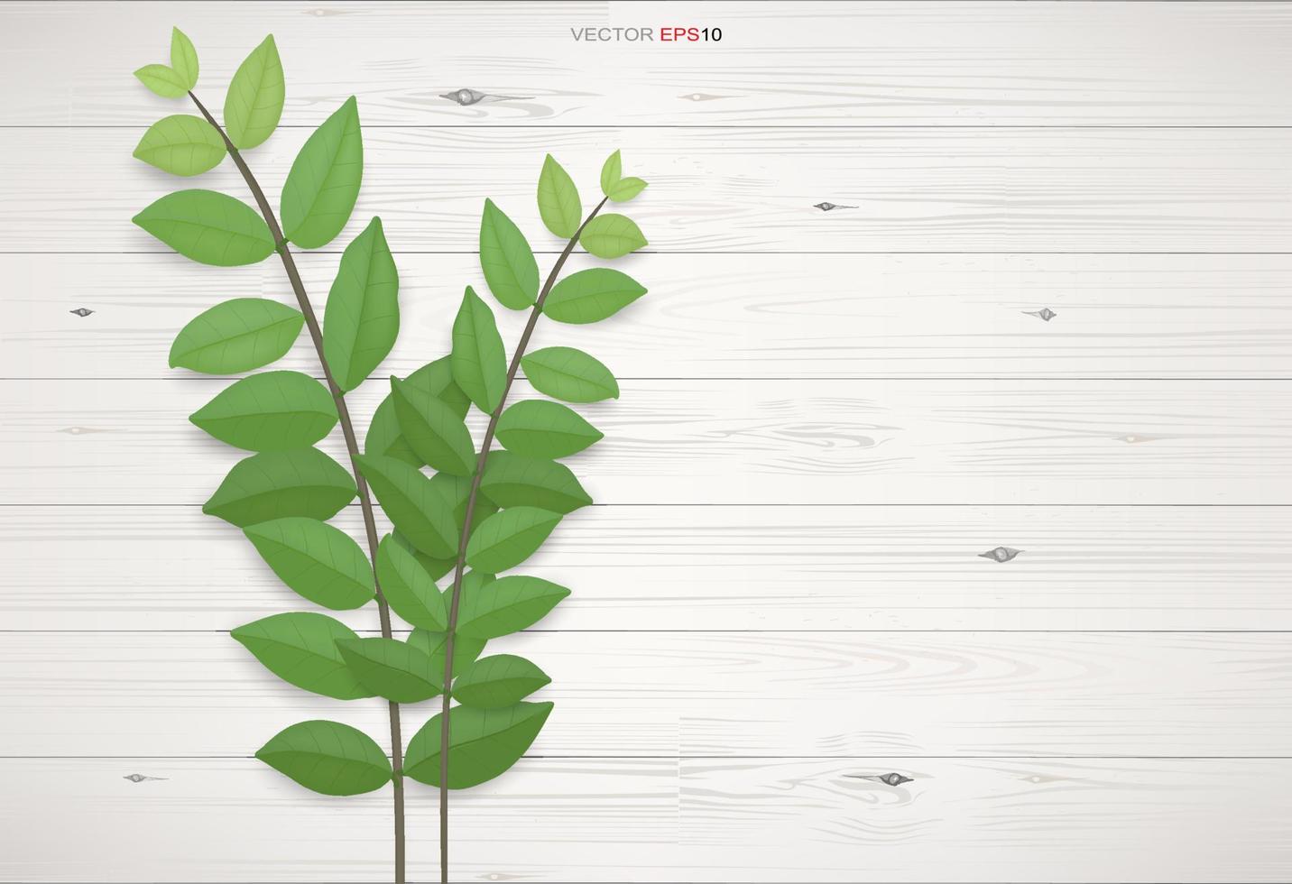 Wood texture background with green leaves.  Vector illustration.