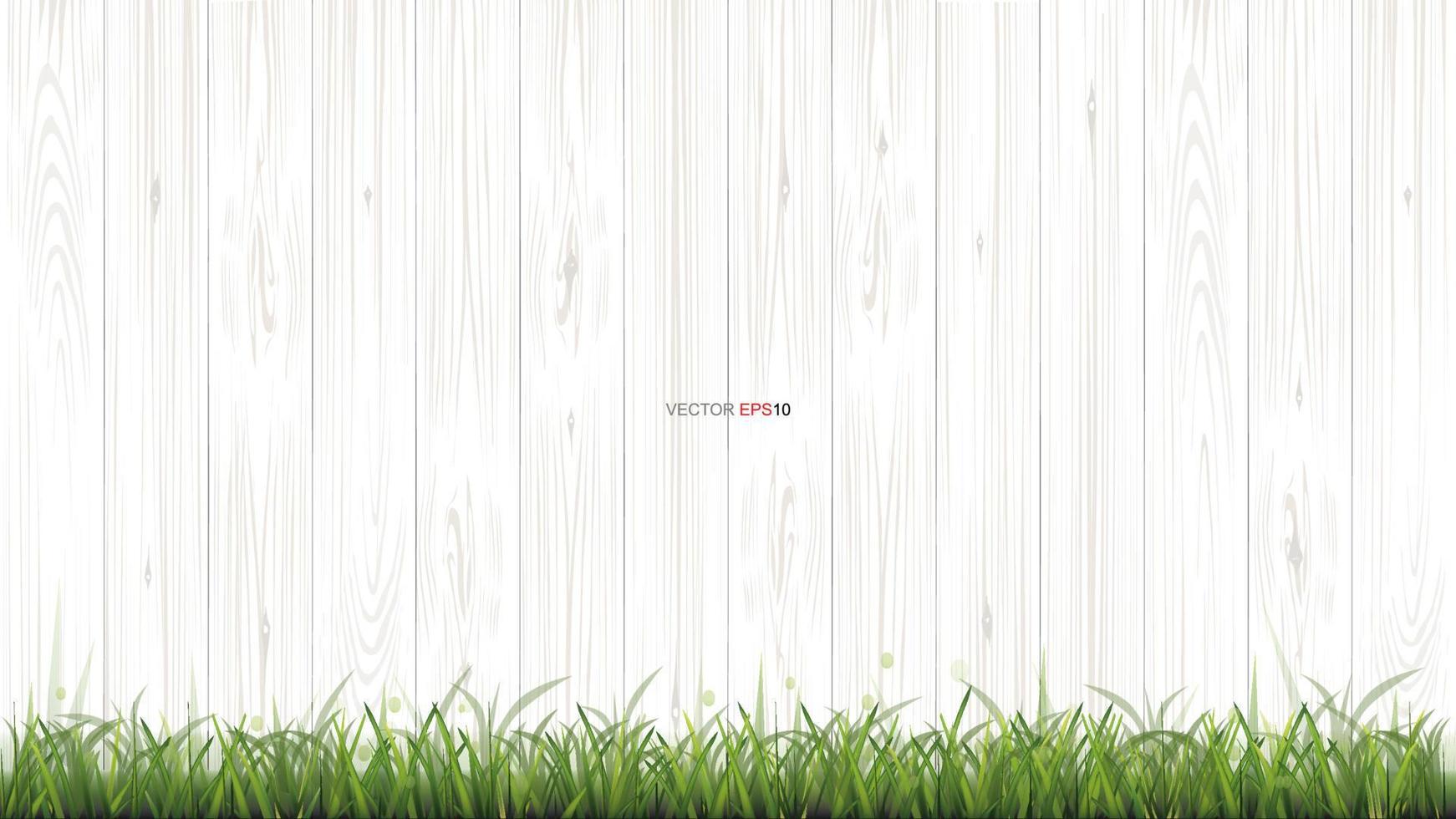 White wood texture background with green grass. Vector. vector