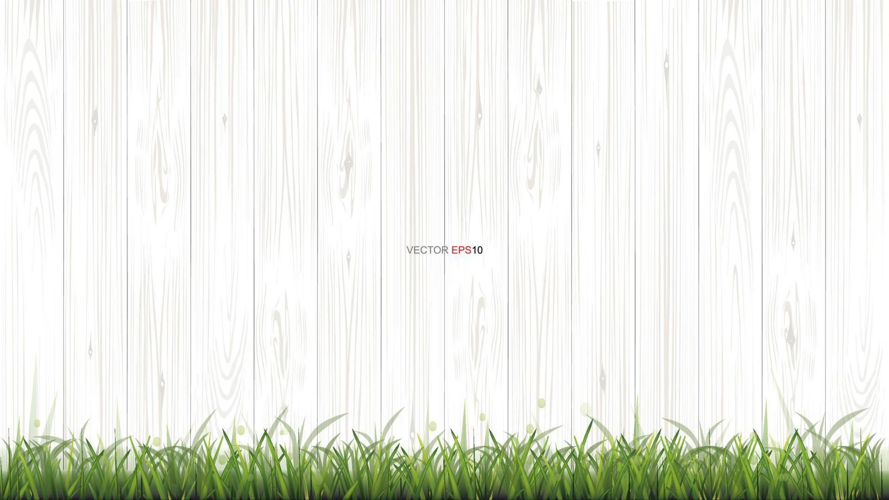 White wood texture background with green grass. Vector. vector