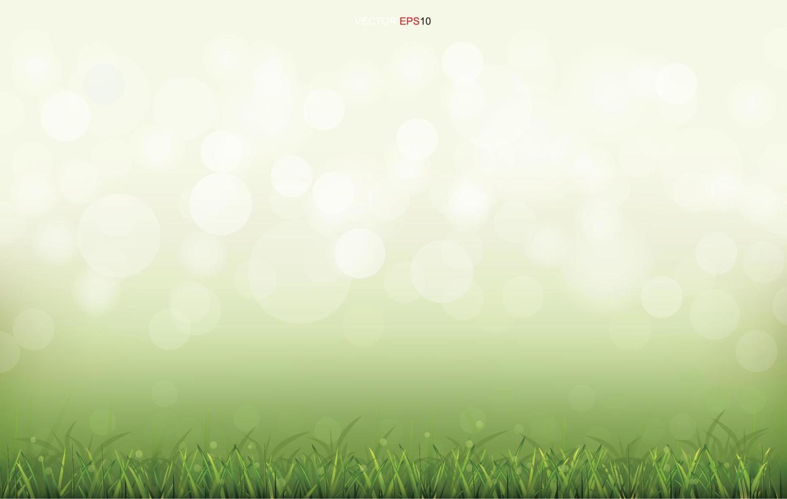 Green grass field with light blurred bokeh background. Vector. vector