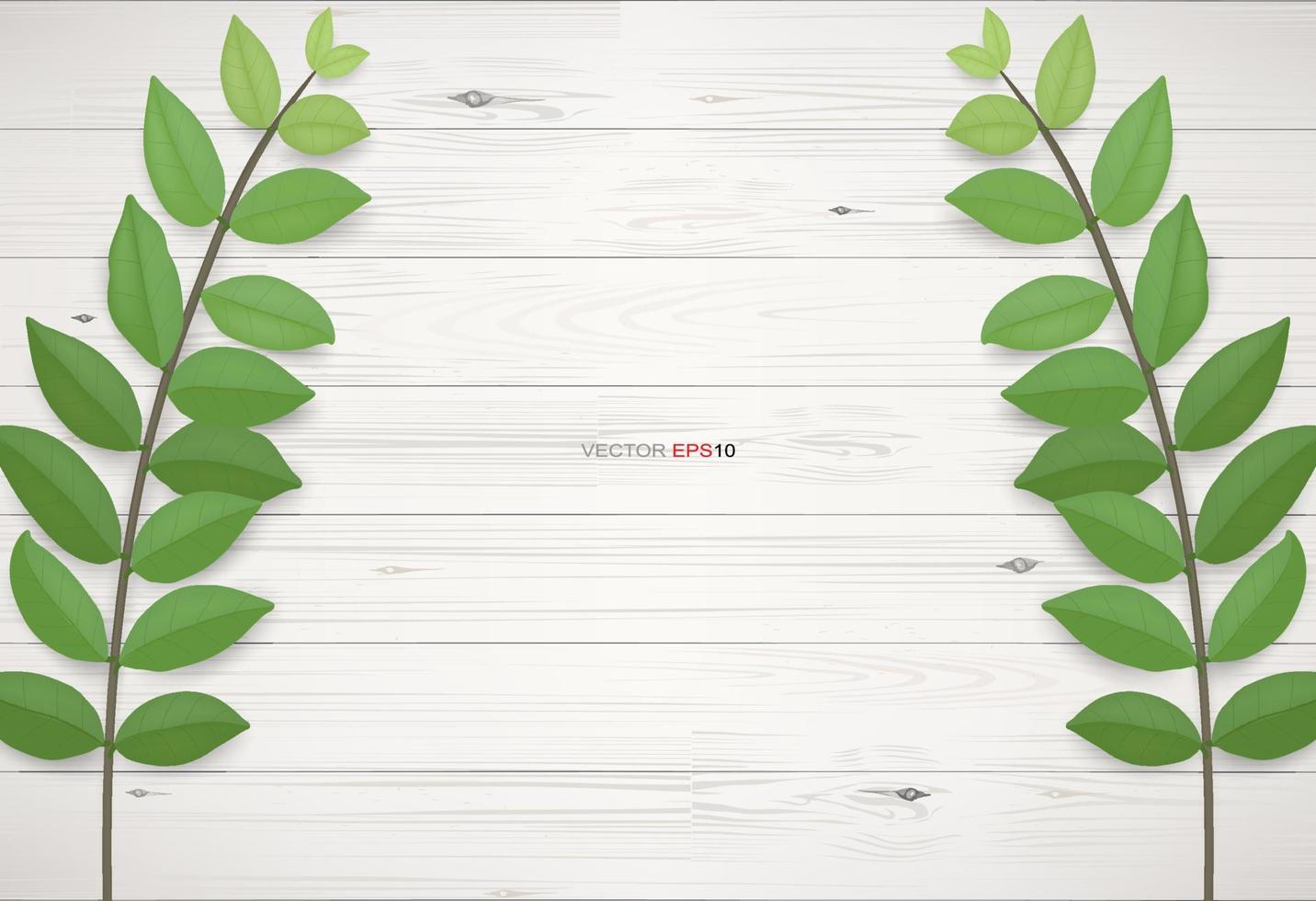 Wood texture background with green leaves.  Vector illustration.