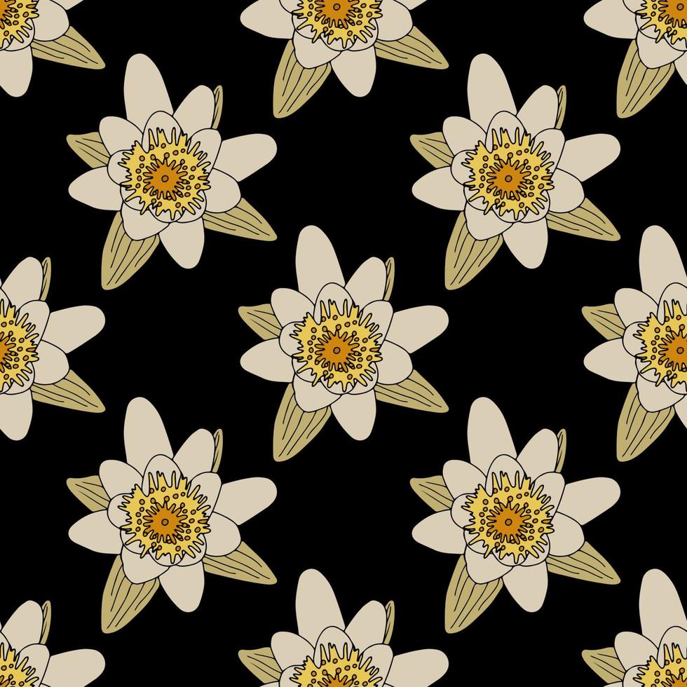 Water lily flower seamless pattern. Isoalted on back background. vector