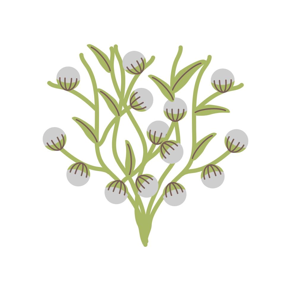 olive branch leaves vector