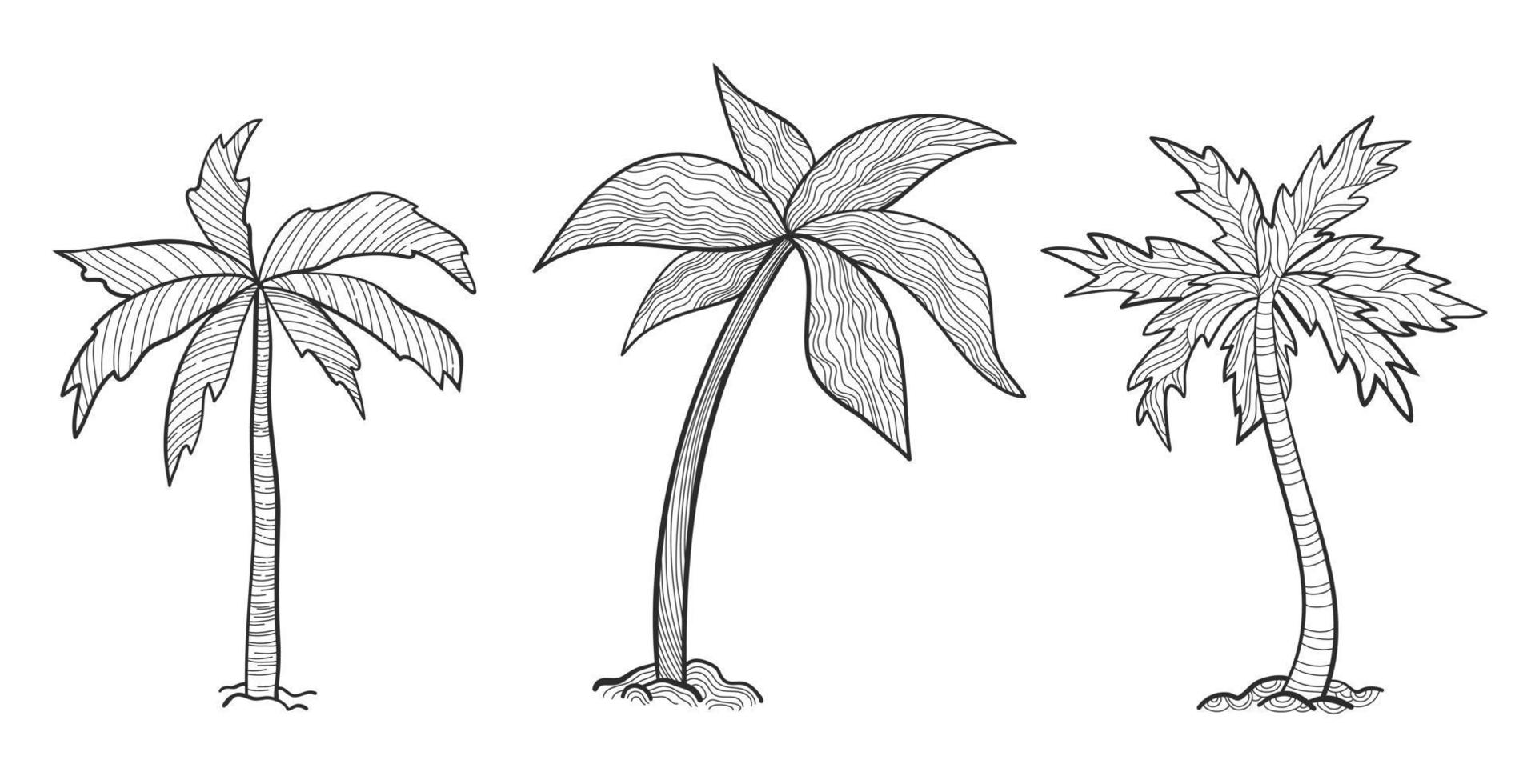Set tropical palm trees with leaves, mature and young plants, black silhouettes isolated on white background. Sketch style for your design. vector