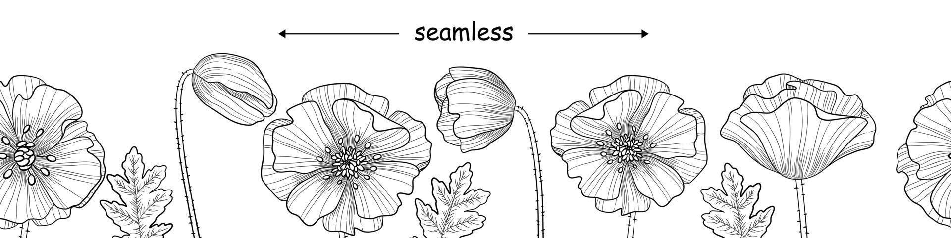 Seamless border banner with Poppies vector