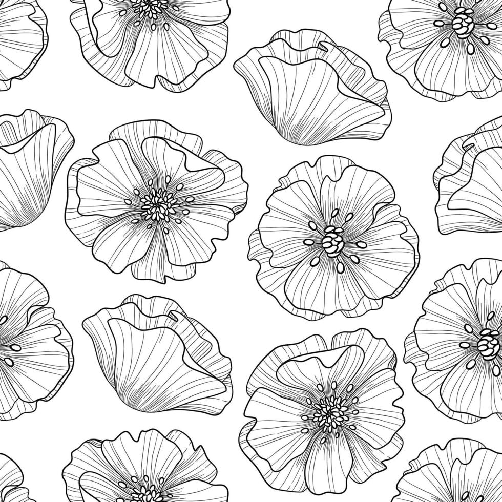 seamless pattern of black and white poppies vector