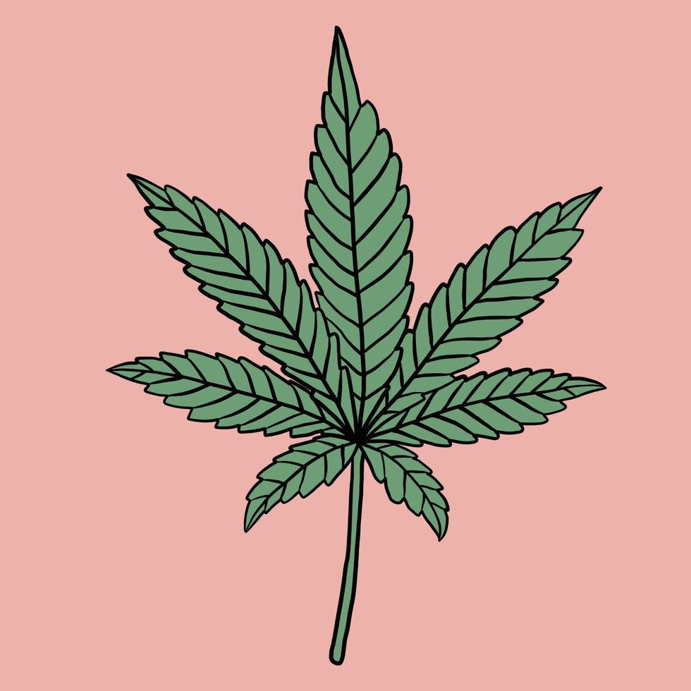 simplicity cannabis leaf freehand drawing flat design. vector