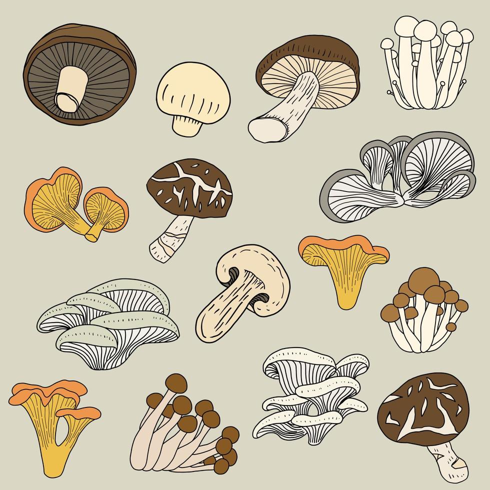 Doodle colección de dibujo de boceto a mano alzada de vegetales de hongos. vector