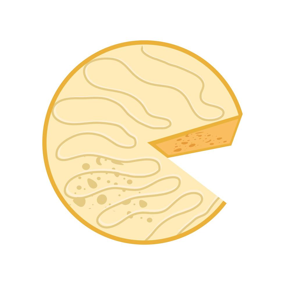 wheel of cheese vector