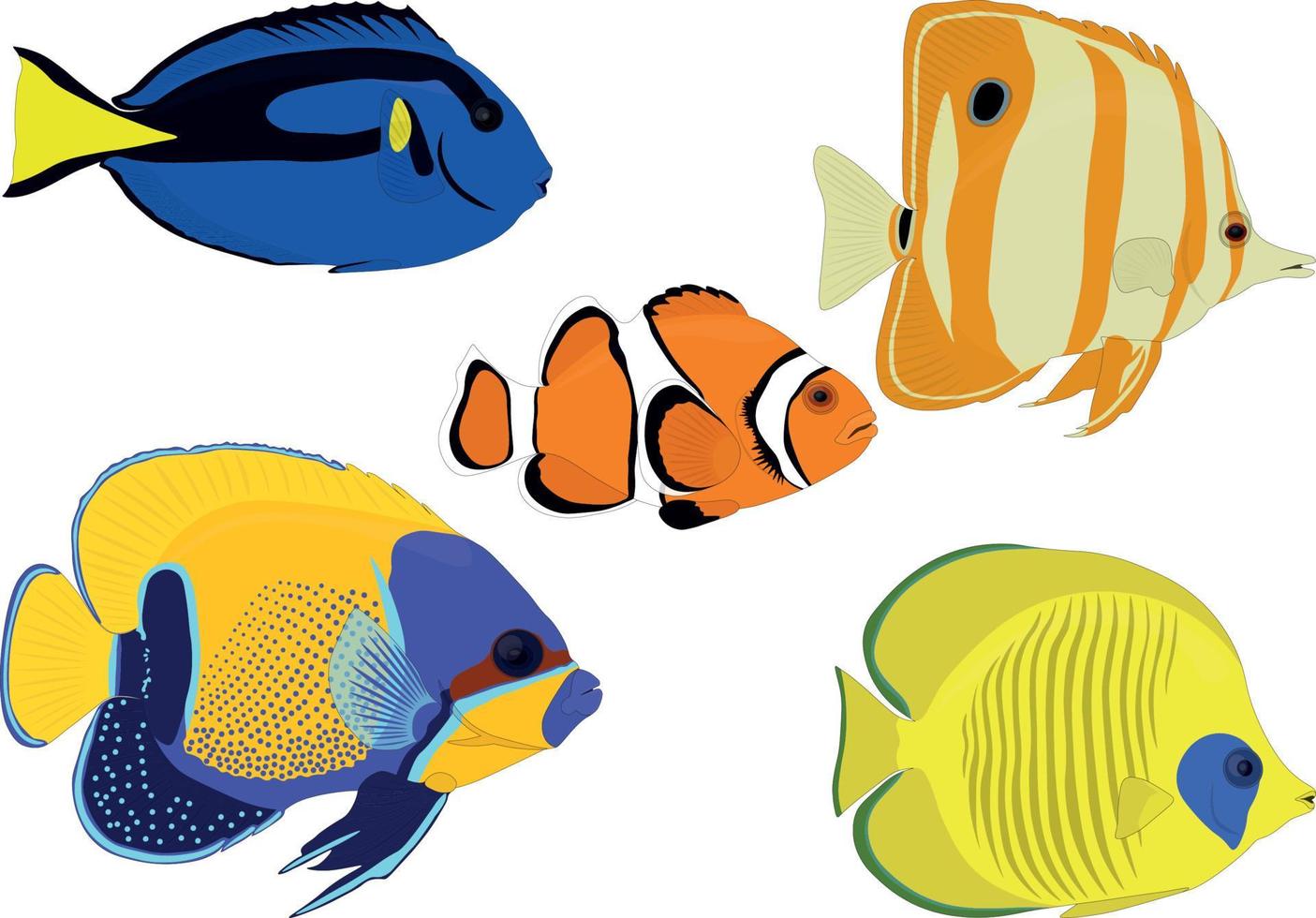 Acuario colorido brillante colección de peces tropicales ilustración vectorial vector