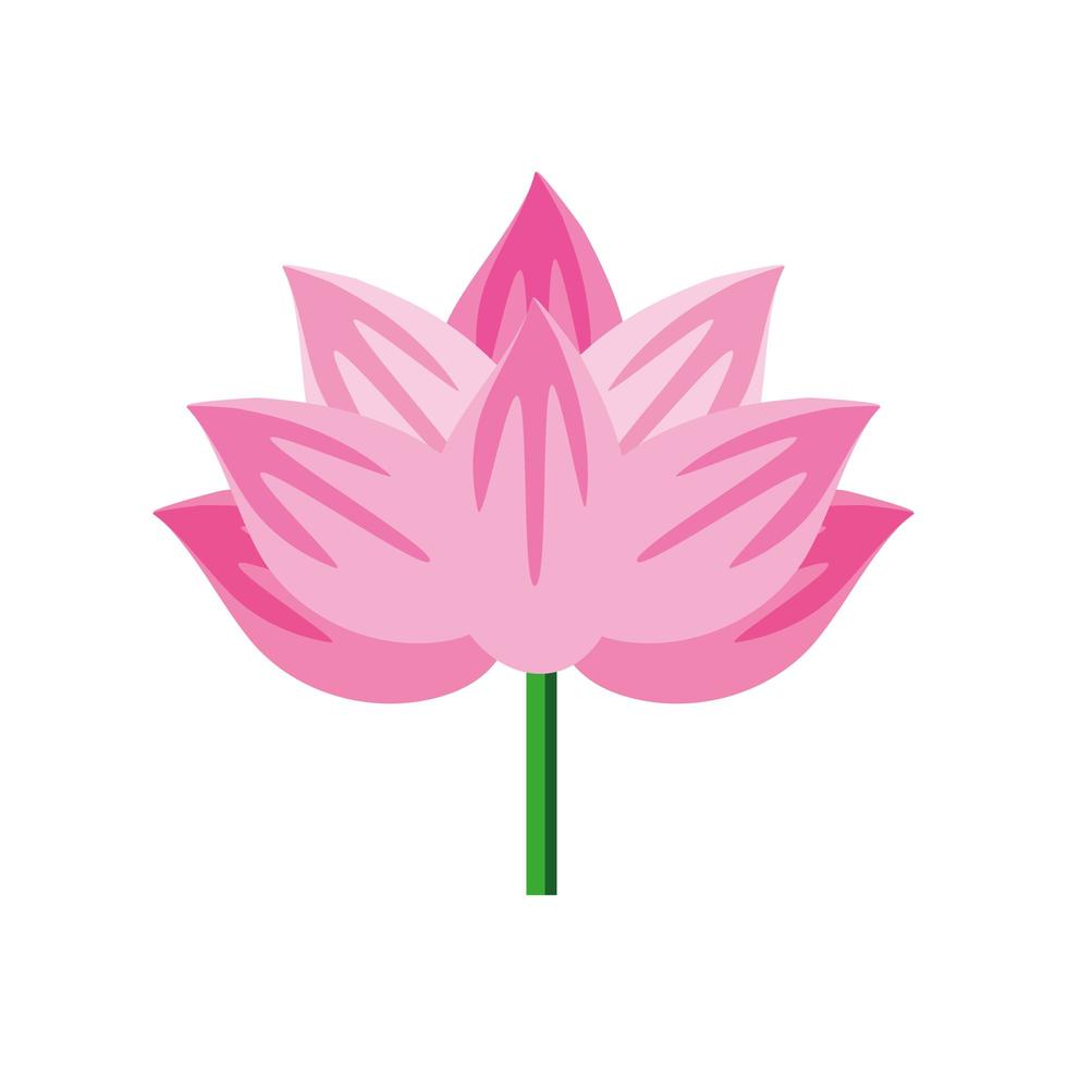 pink flower stem vector