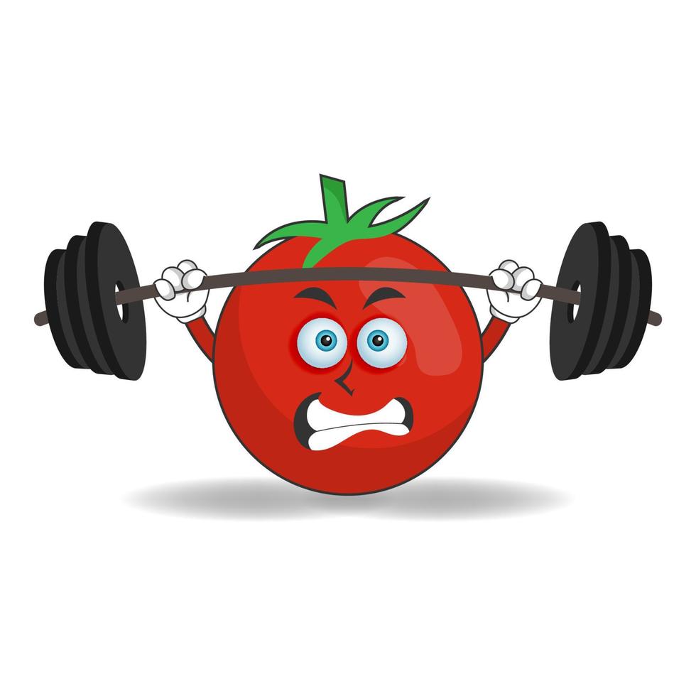 Tomato mascot character with fitness equipment. vector illustration