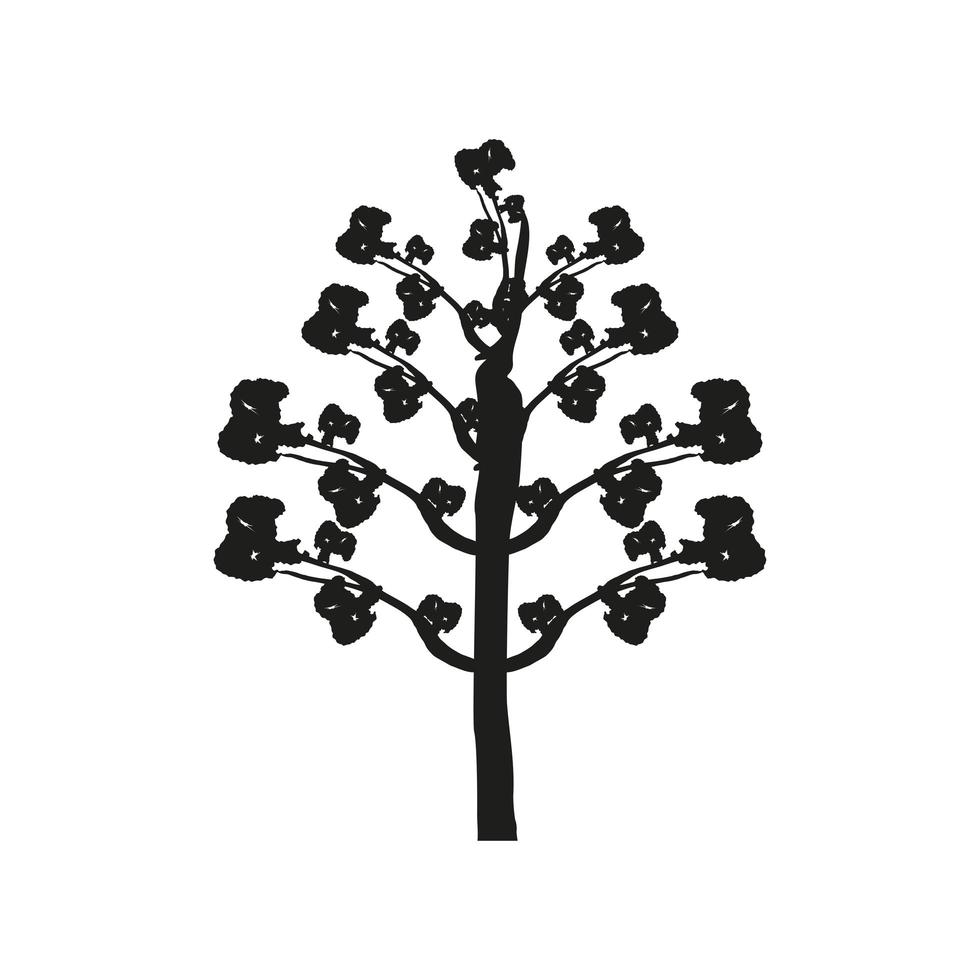 silhouette tree foliage vector