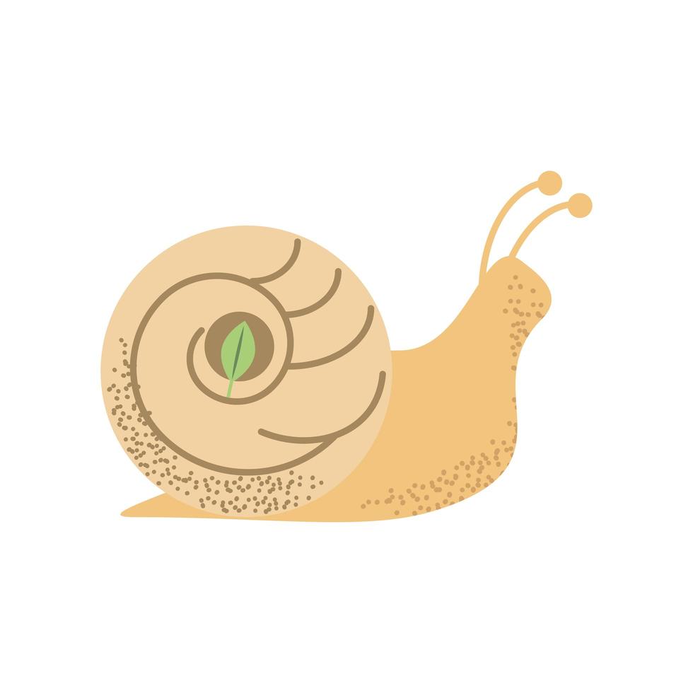 snail with ecology leaf vector