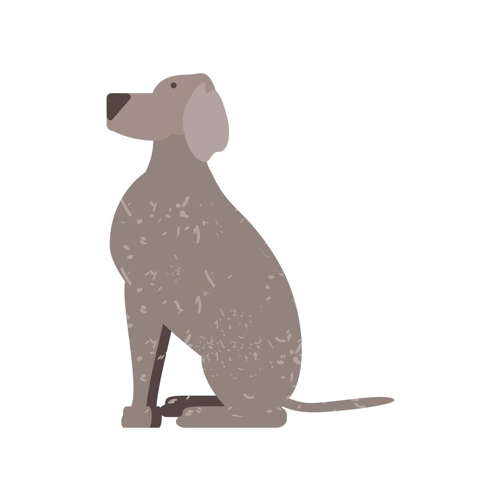 perro mascota sentado vector