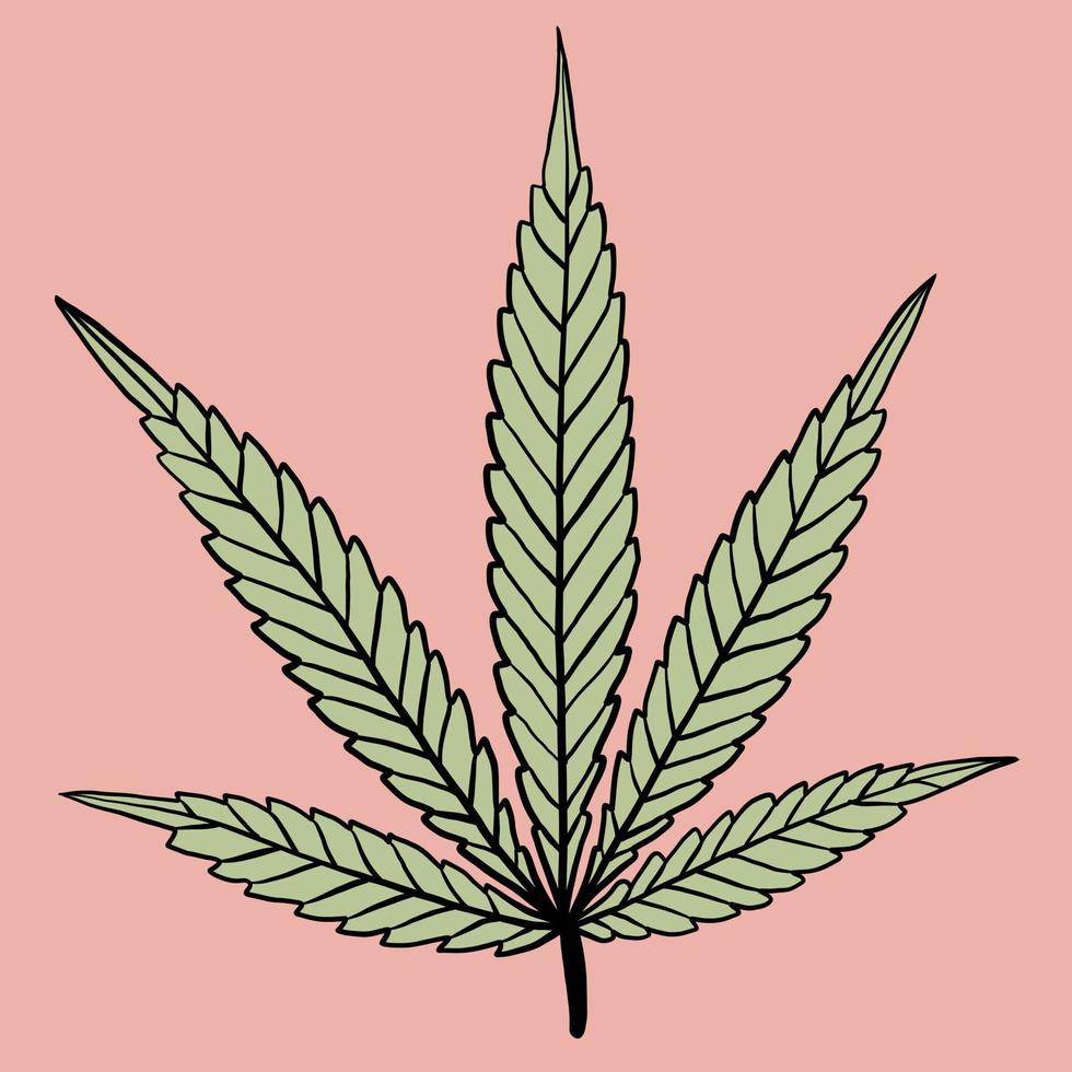 simplicidad hoja de cannabis dibujo a mano alzada diseño plano. vector