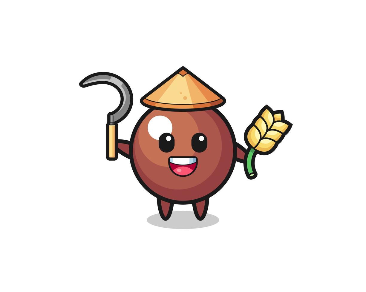 chocolate ball Asian farmer holding paddy vector