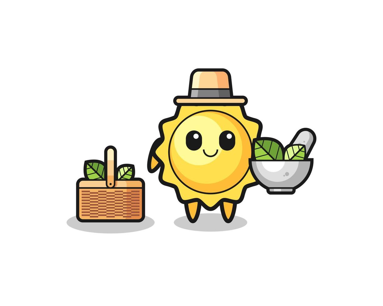 sun herbalist cute cartoon vector