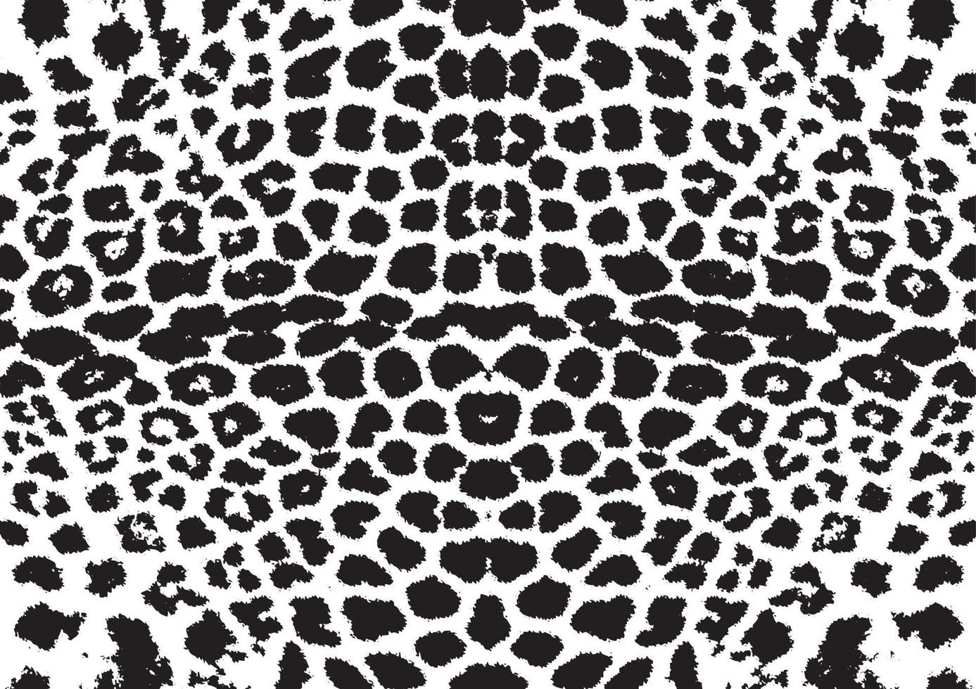 patrón blanco y negro como piel de leopardo blanco. vector