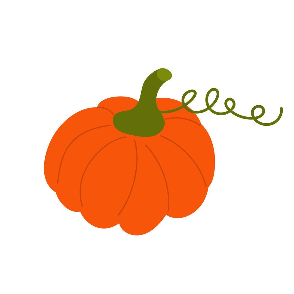 Pumpkin. Autumn Halloween or Thanksgiving pumpkin symbol. vector