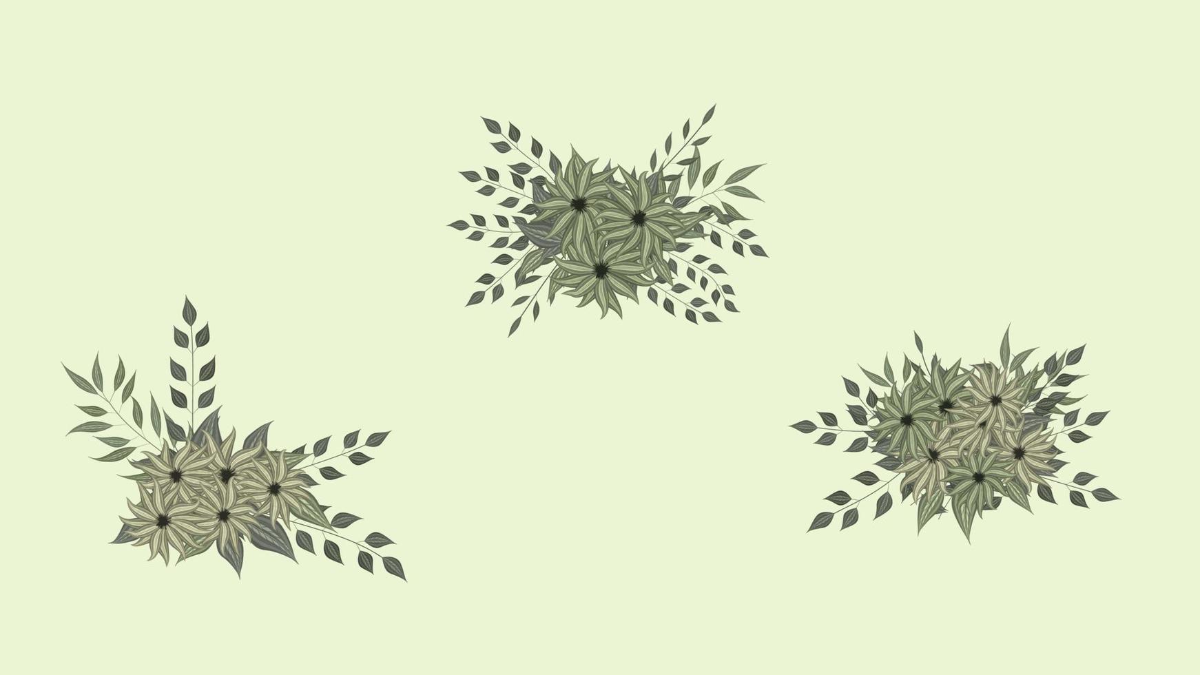 Botanical collection of wild floral arrangements sets garden flowers vector