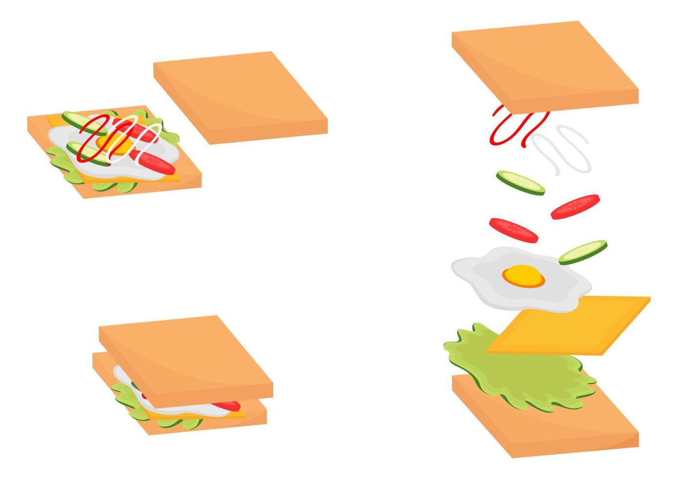 sandwich illustration with three types vector