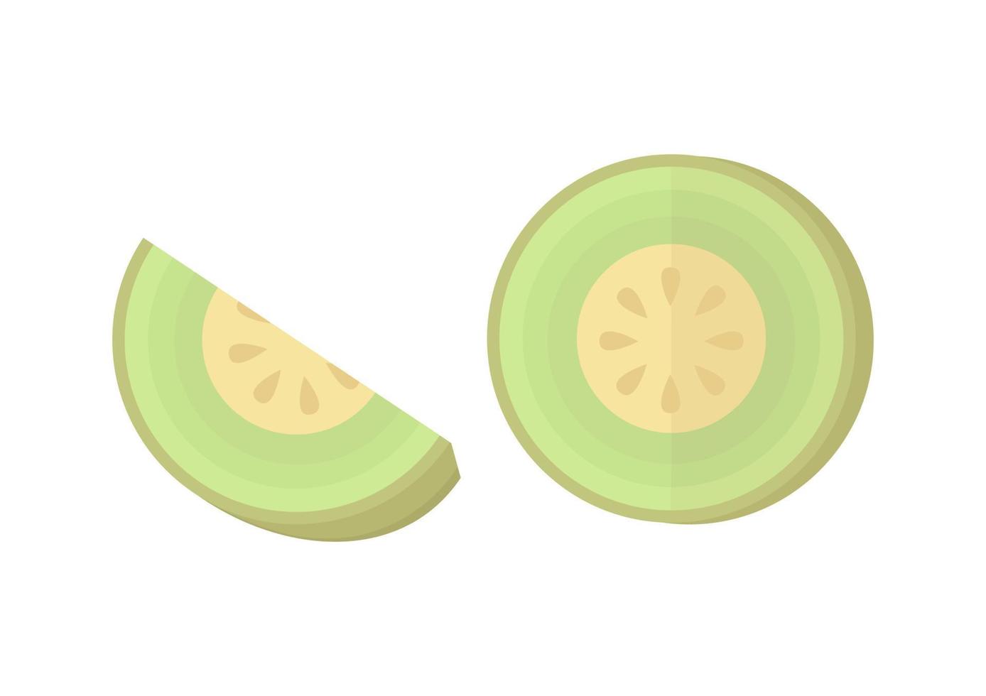 sweet and fresh melon fruit illustration vector