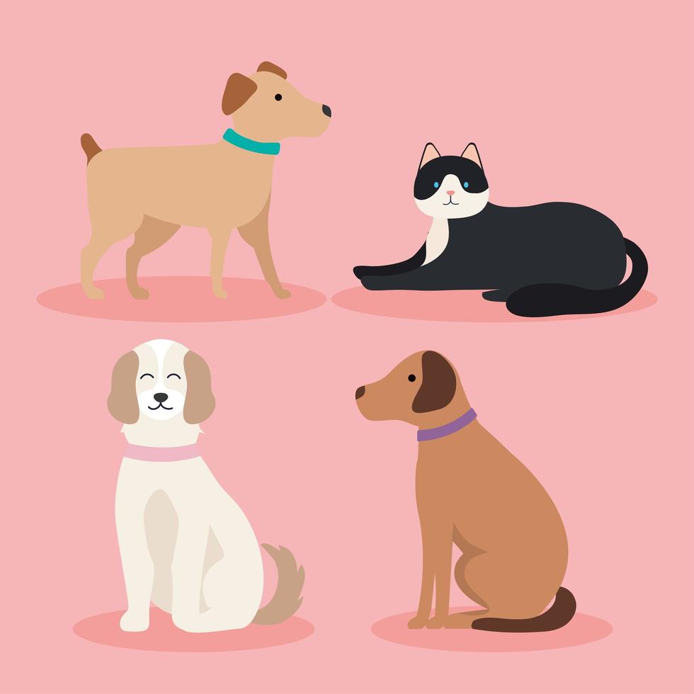 four mascots domestics vector