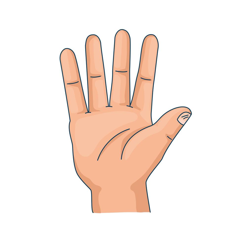 cute hand open vector