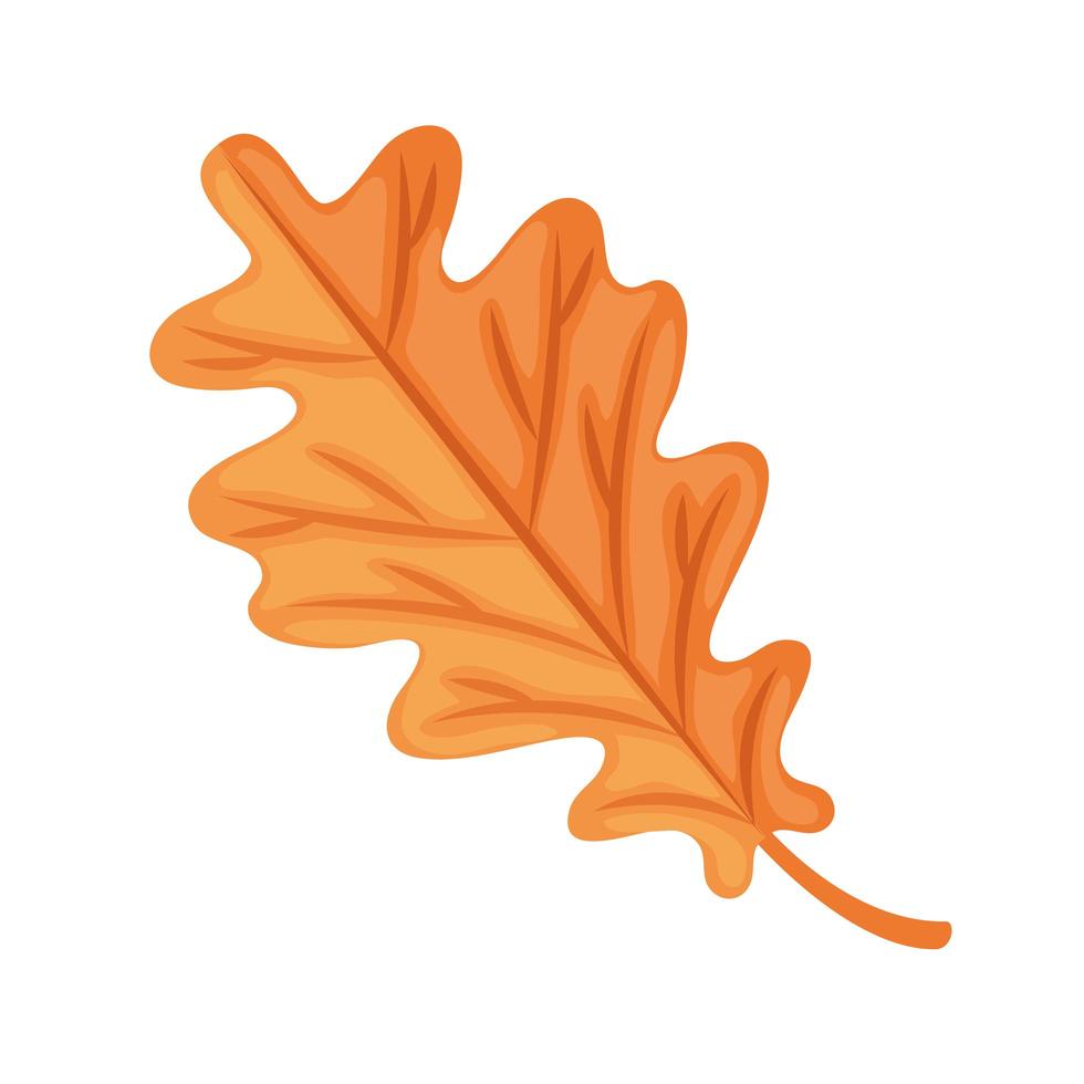 icono de hoja de roble de otoño vector