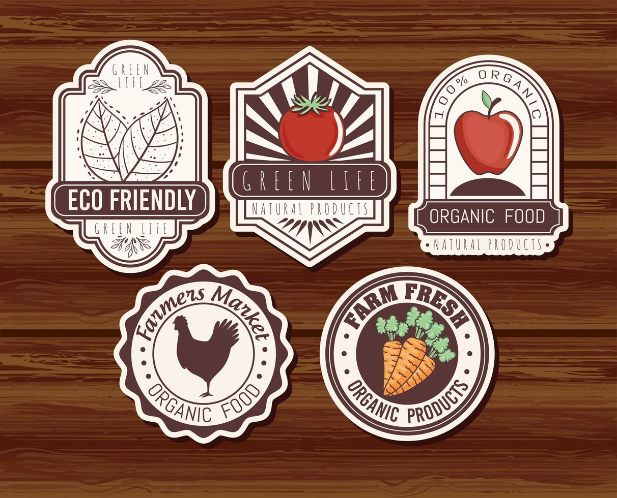 Eco friendly banners set vector