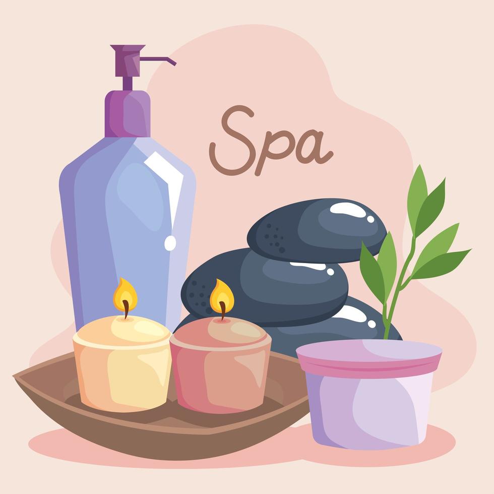 banner of spa vector