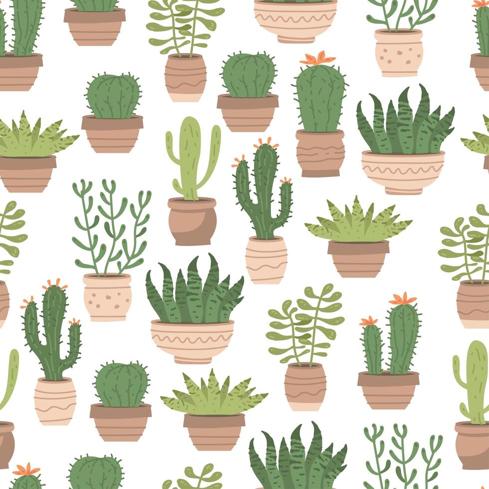 Seamless pattern different cute cactus and succulents in pots on white vector