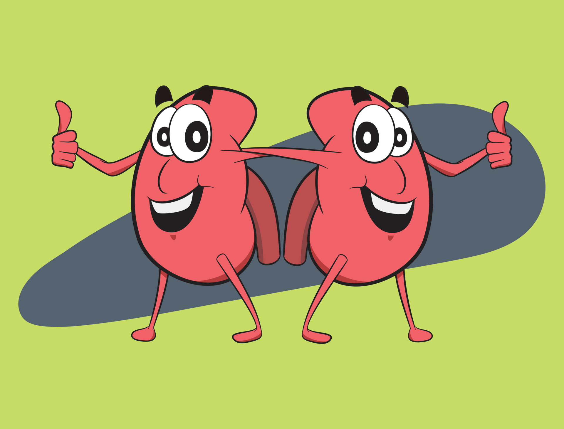 World Kidney Day celebration graphic. Kidney Character doing thumbs up  action. Happy Healthy life and healthy organs vector graphic. 3808276  Vector Art at Vecteezy
