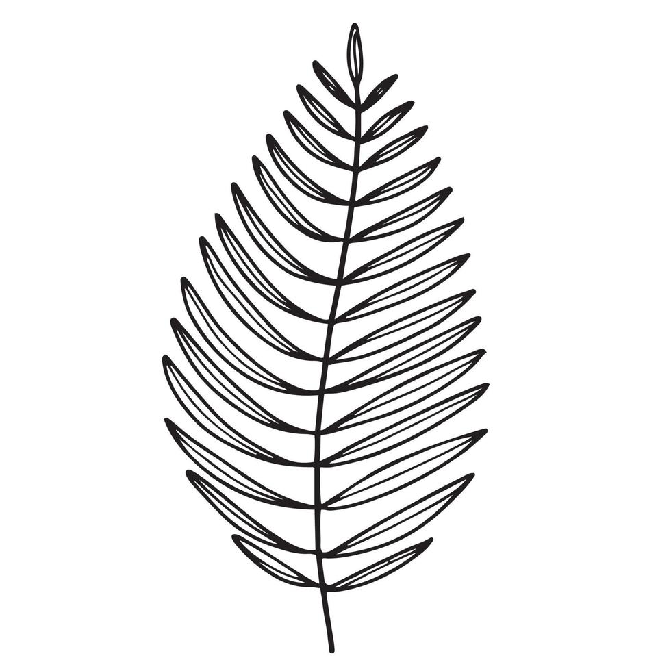 Outlined Foliage Plant vector