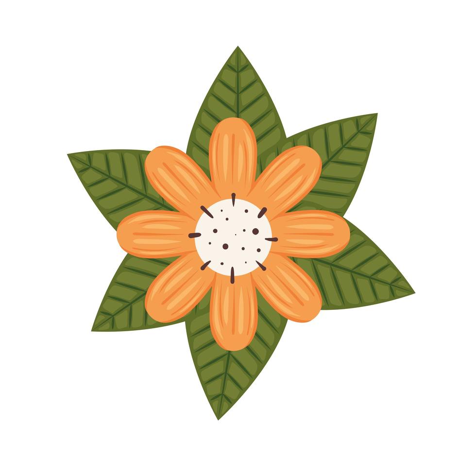 orange flower icon vector