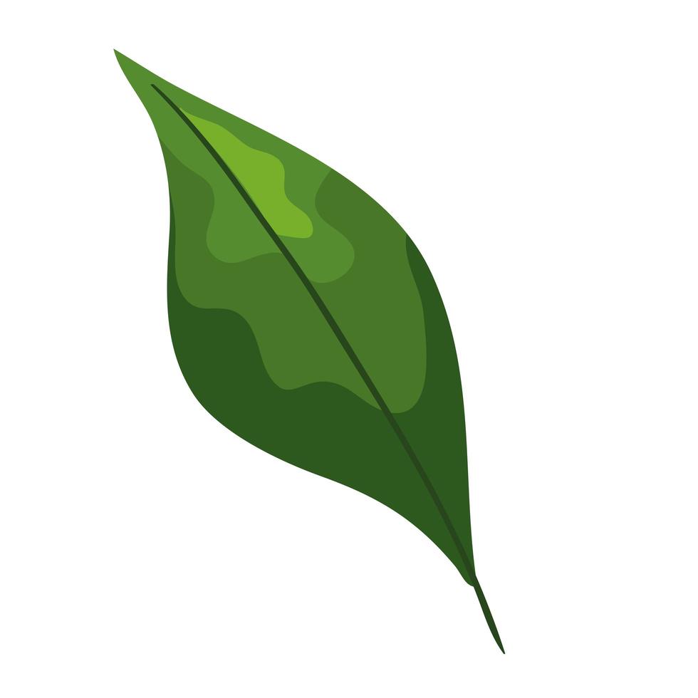 icono de hoja pintada vector