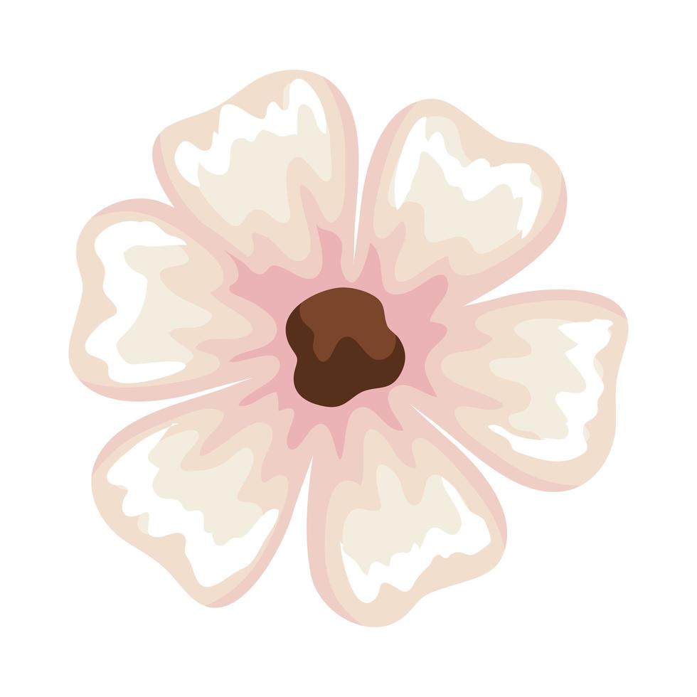 Isolated pink flower vector