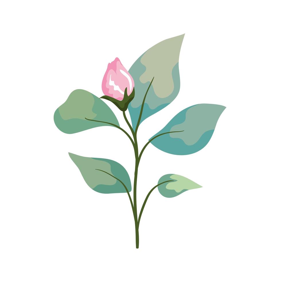pink flower bud with leaves vector