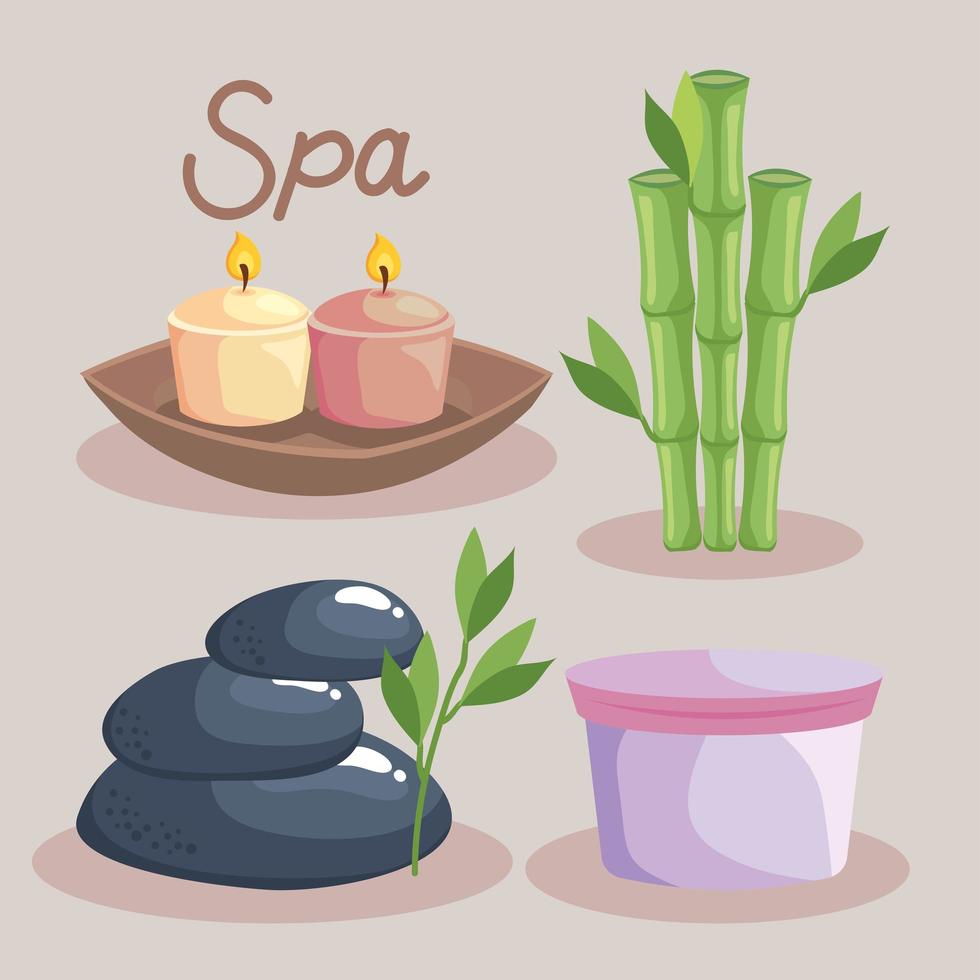 iconos de spa vector