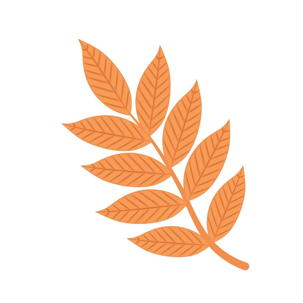autumn branch with leafs vector
