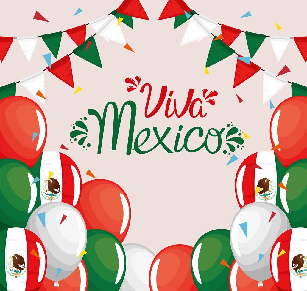 banner of viva mexico vector