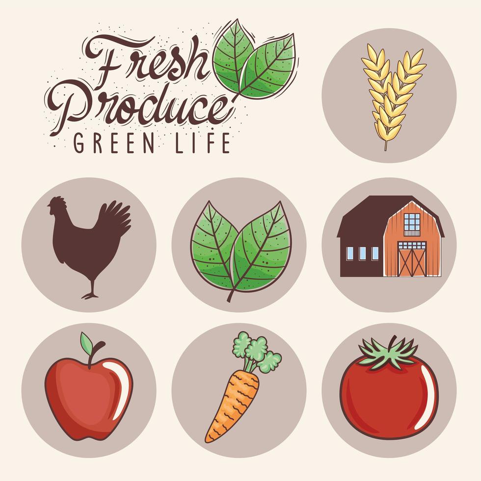 iconos de productos frescos vector